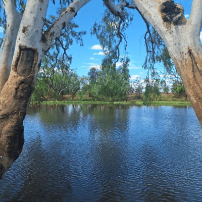 Northern Land Council Supports Traditional Owners Against Draft Mataranka Water Allocation Plan