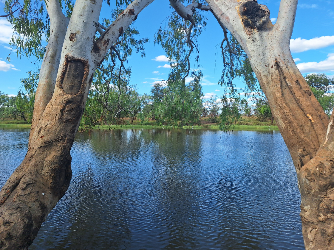 Northern Land Council Supports Traditional Owners Against Draft Mataranka Water Allocation Plan