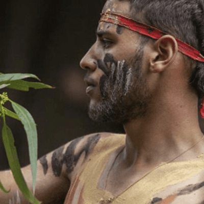 Armidale Celebrates NAIDOC Week with Exciting Events!
