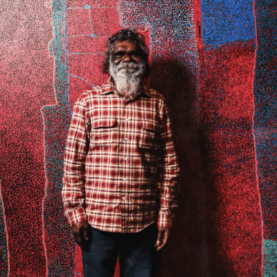 Noli Rictor Wins 2024 Telstra National Aboriginal and Torres Strait Islander Art Award
